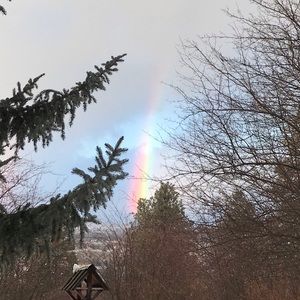 Meet your Posher, Ava